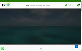 Tregbahamas.com Screenshot 2024-05-20 21:50:22