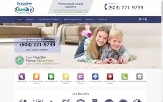 Executivechemdry.com Screenshot 2024-05-15 21:37:13