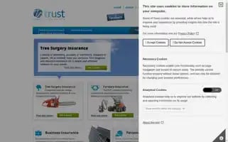 Trustinsurance.co.uk Screenshot 2024-06-15 19:26:46