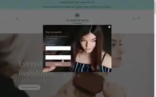 Thebristlebrushcompany.com Screenshot 2024-05-05 06:00:44