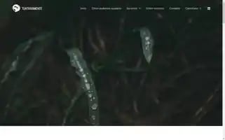 Tuataramente.org Screenshot 2024-07-03 22:54:37