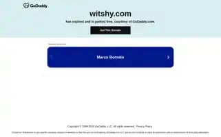 Witshy.com Screenshot 2024-05-24 22:18:10