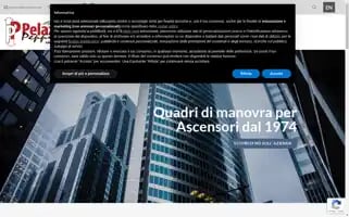 Pelazza.com Screenshot 2024-07-02 22:58:13