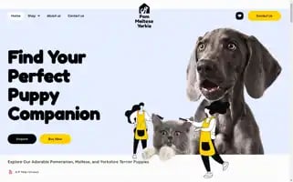 Pommalteseyorkie.com Screenshot 2024-05-29 02:45:14