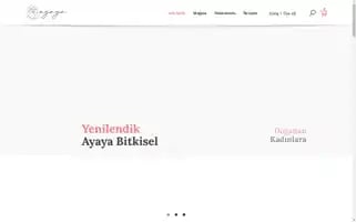 Ayaya.com.tr Screenshot 2024-05-21 22:47:11