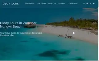 Diddytourszanzibar.com Screenshot 2024-04-15 15:33:04