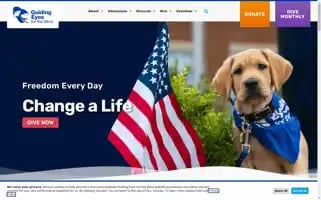 Guidingeyes.org Screenshot 2024-07-01 11:30:20