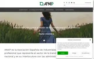 Anaip.es Screenshot 2024-07-06 17:13:32