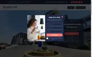 Blueberryhillhotel.co.za Screenshot 2024-04-22 20:29:25