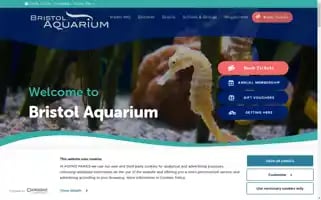 Bristolaquarium.co.uk Screenshot 2024-07-02 03:27:20