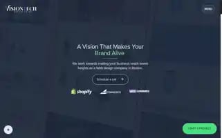 Thevisiontech.com Screenshot 2024-06-18 08:16:02