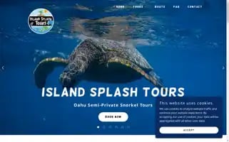 Islandsplashtours.com Screenshot 2024-04-25 14:22:47