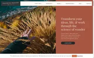 Trackingwonder.com Screenshot 2024-07-01 16:29:17