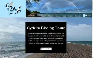 Gyrkitetours.com Screenshot 2024-04-19 10:39:07