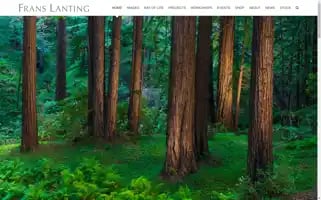 Lanting.com Screenshot 2024-07-01 10:52:43