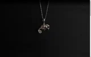 Yasoya88jewelry.com Screenshot 2024-05-21 15:19:06