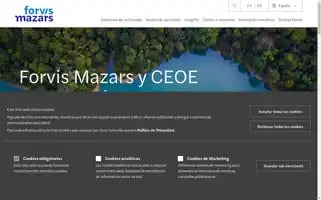 Mazars.es Screenshot 2024-07-02 19:57:05