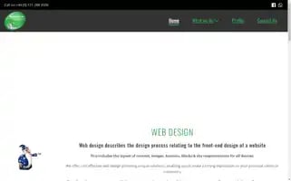 Webdesignwizards.co.uk Screenshot 2024-06-18 04:51:43