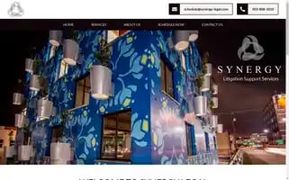Synergy-legal.com Screenshot 2024-07-05 06:31:48