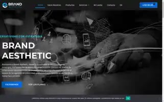 Brand-aesthetic.com Screenshot 2024-05-27 11:48:21