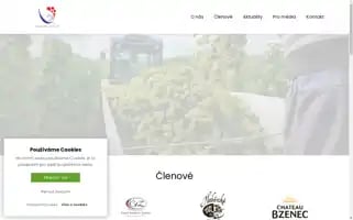 Vinarskaunie.cz Screenshot 2024-07-04 15:15:27