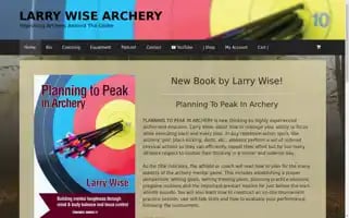 Larrywise.com Screenshot 2024-05-20 13:04:54