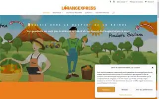 Orangexpress.ch Screenshot 2024-05-20 20:02:27