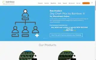 Bamboosolutions.com Screenshot 2024-05-08 16:41:42