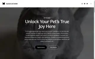 Blackcatmom.com Screenshot 2024-05-28 13:33:48