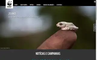 Wwf.org.mz Screenshot 2024-07-09 12:32:14