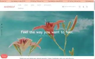 Microjoyful.com Screenshot 2024-04-27 16:45:24