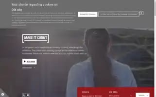 Vanguardjobs.com Screenshot 2024-05-14 20:20:05