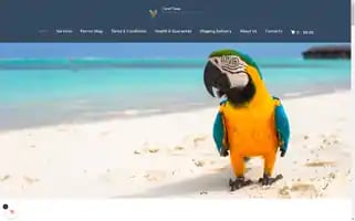 Parrothavens.com Screenshot 2024-05-27 18:35:44