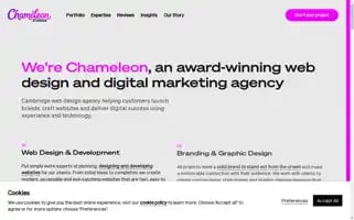 Chameleonstudios.co.uk Screenshot 2024-06-29 16:42:58