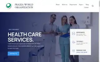 Praxiaworldorganization.com Screenshot 2024-05-28 05:30:24
