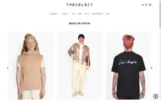 Thecelect.com Screenshot 2024-05-05 18:37:58