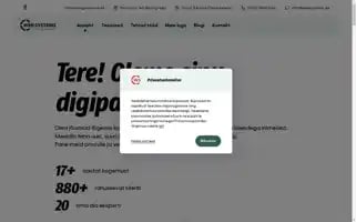 Websystems.ee Screenshot 2024-06-17 07:43:52