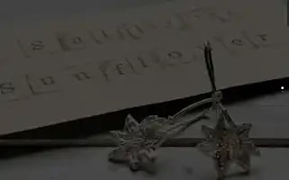 Sallyssunflowers.co.uk Screenshot 2024-07-05 21:25:10