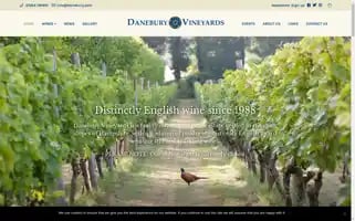 Danebury.com Screenshot 2024-06-12 06:55:26