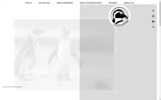 Africanpenguinnotonourwatch.org Screenshot 2024-07-01 11:01:49