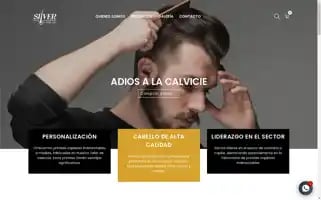 Silvercapilar.com Screenshot 2024-05-02 03:23:05