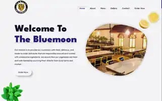 Bluemoonhotel.in Screenshot 2024-04-26 19:59:41