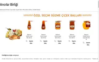Aricilarbirligi.com Screenshot 2024-06-26 23:25:33