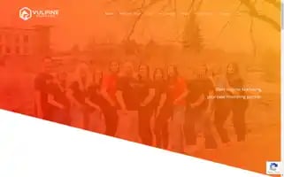 Vulpinemarketing.com Screenshot 2024-06-15 13:07:45