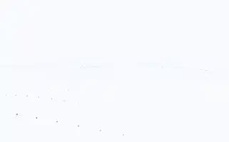 Toptanalisveris.com Screenshot 2024-07-08 10:46:48