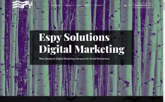 Espysolutions.com Screenshot 2024-06-30 12:20:11