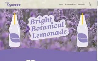 Beassqueeze.com Screenshot 2024-05-05 06:40:33