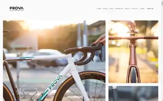 Provacycles.com Screenshot 2024-07-03 02:45:28