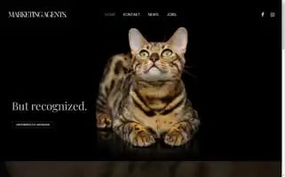 Marketing-agents.at Screenshot 2024-06-15 06:28:41