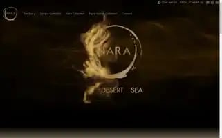 Nara.ae Screenshot 2024-06-11 11:15:24